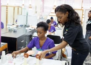 Day 3 WorldSkills Barbados 2014