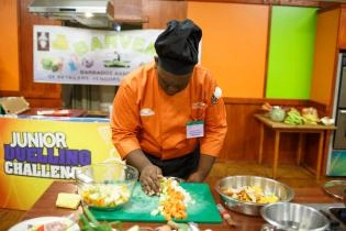 Day 4 WorldSkills Barbados 2014