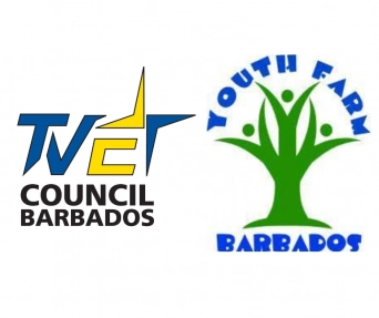 Best: Creative Methods Needed to Revamp Vocational Sector