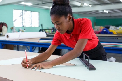 Standard Development